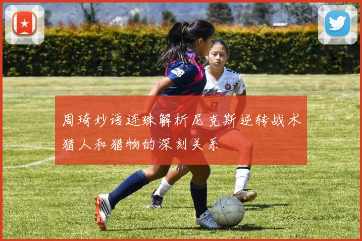 周琦妙语连珠解析尼克斯逆转战术猎人和猎物的深刻关系