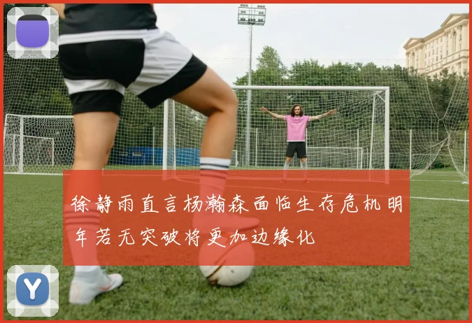徐静雨直言杨瀚森面临生存危机明年若无突破将更加边缘化