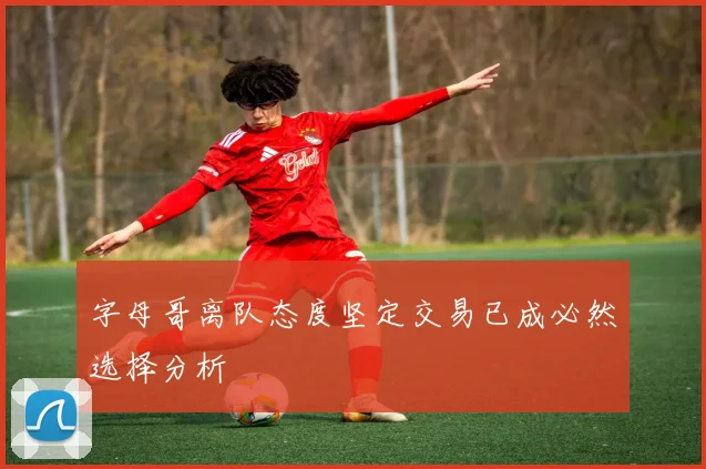 字母哥离队态度坚定交易已成必然选择分析